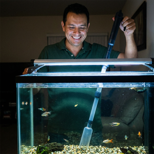 Mark S. - Orlando, FL
